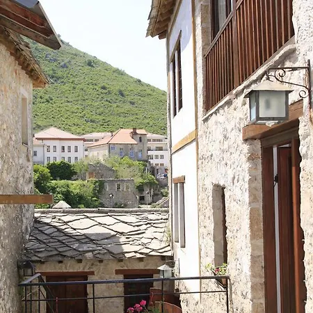 Terrace Guest house 3*