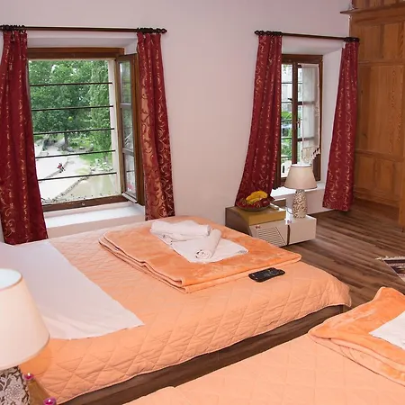 Guest house Terrace 3*