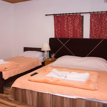 Terrace Guest house