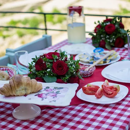 Guest house Terrace 3*