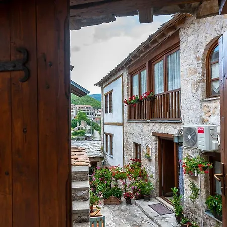 Terrace Guest house