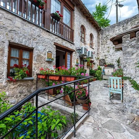 Terrace Guest house 3*