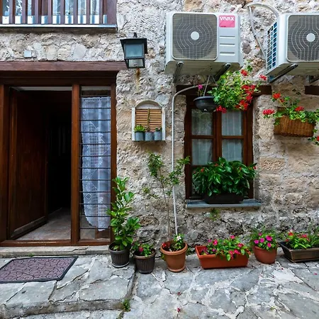 Terrace Guest house