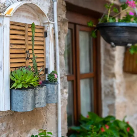 Terrace Guest house