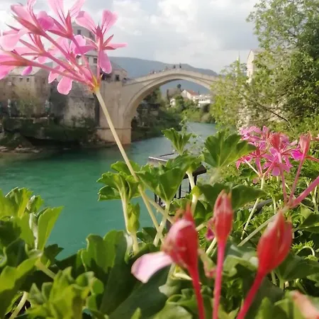Terrace Guest house Mostar